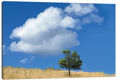 Perfect Sky Perfect Day Canvas Art Print - Thomas Little