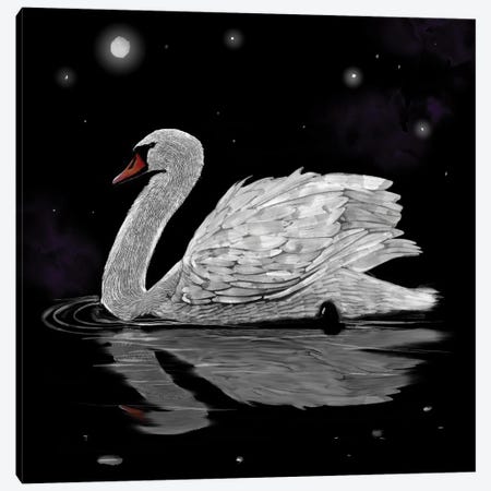 Dark Night White Swan Canvas Print #TLT216} by Thomas Little Canvas Print