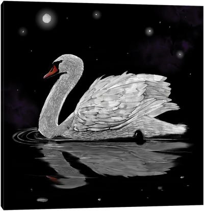 Dark Night White Swan Canvas Art Print - Swan Art
