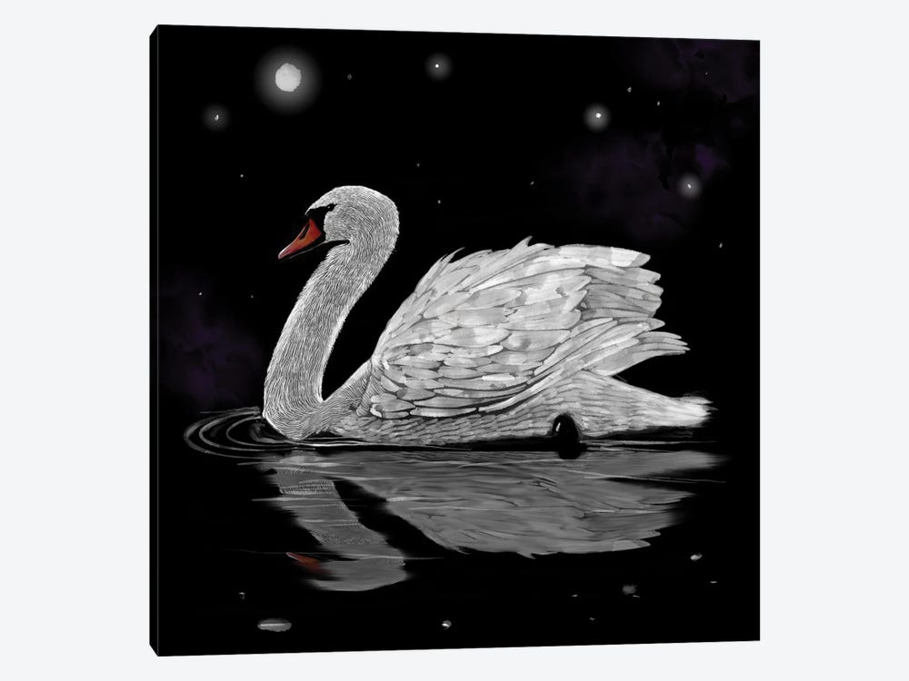 Dark Night White Swan by Thomas Little 1-piece Art Print