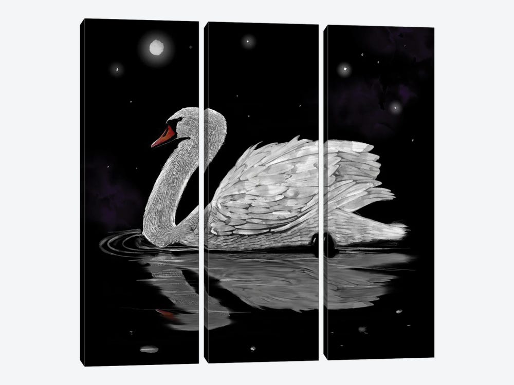 Dark Night White Swan by Thomas Little 3-piece Canvas Print