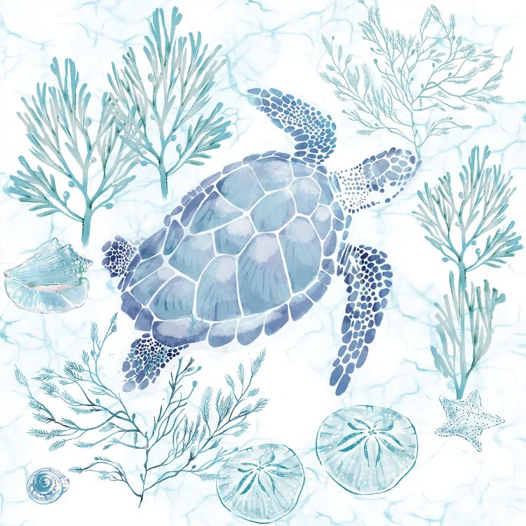 Soft Seas Sea Turtle