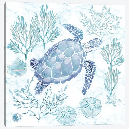 Soft Seas Sea Turtle Canvas Print #TLT221} by Thomas Little Art Print