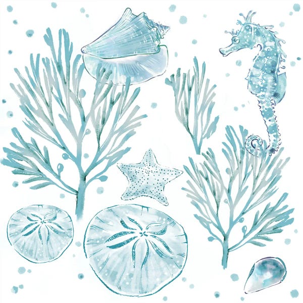 Seahorses: Soft Seas Seahorse by Thomas Little