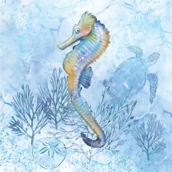 Seahorses: Spectral Seahorse by Thomas Little