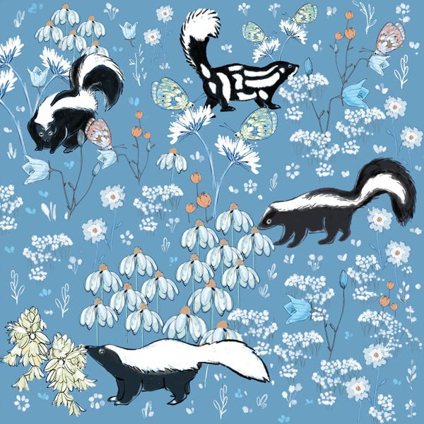 Skunks: Smell Ya Latter by Thomas Little