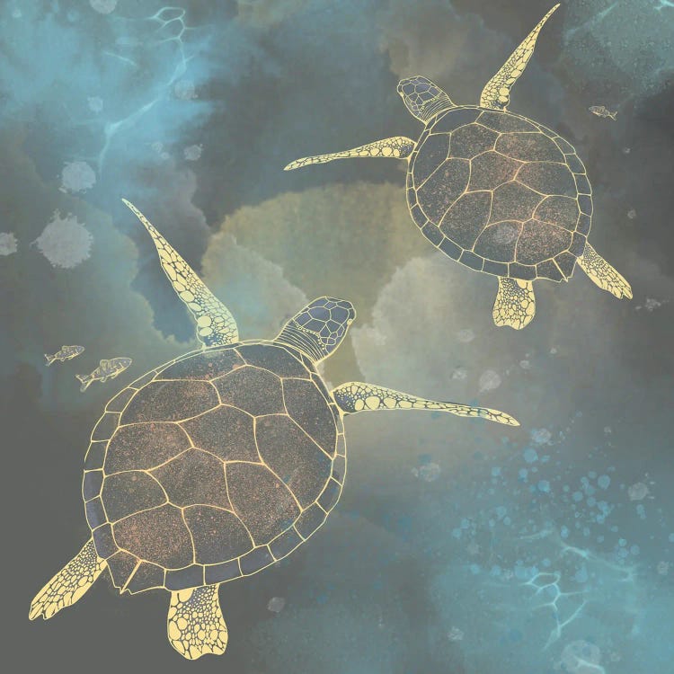 Coco Reef by Thomas Little wall art