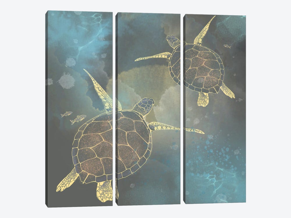 Coco Reef by Thomas Little 3-piece Canvas Art
