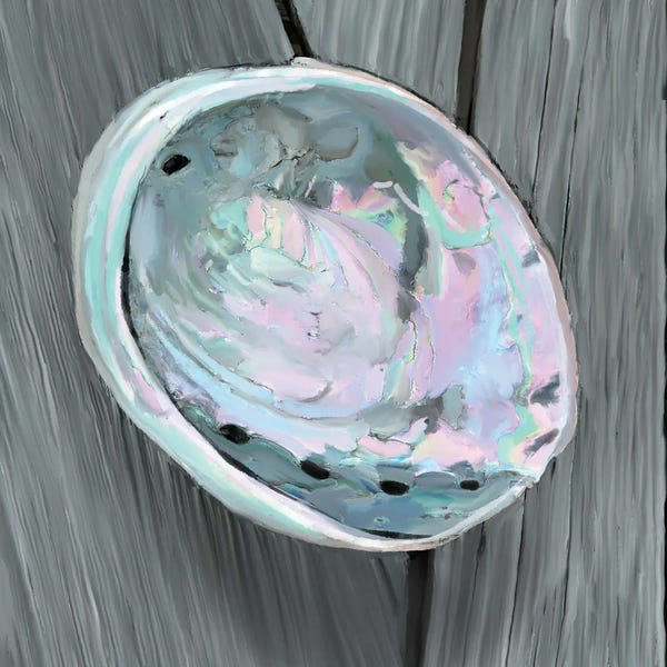 Thomas Little: Abalone And Bleached Wood by Thomas Little