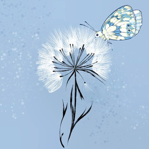 Dandelions: All Fluff And No Stuff by Thomas Little