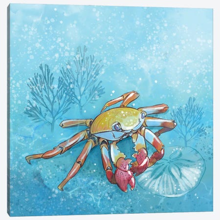 Coastal Crab Canvas Print #TLT233} by Thomas Little Canvas Artwork