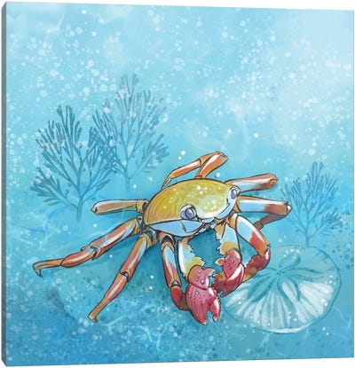 Coastal Crab Canvas Art Print - Crab Art