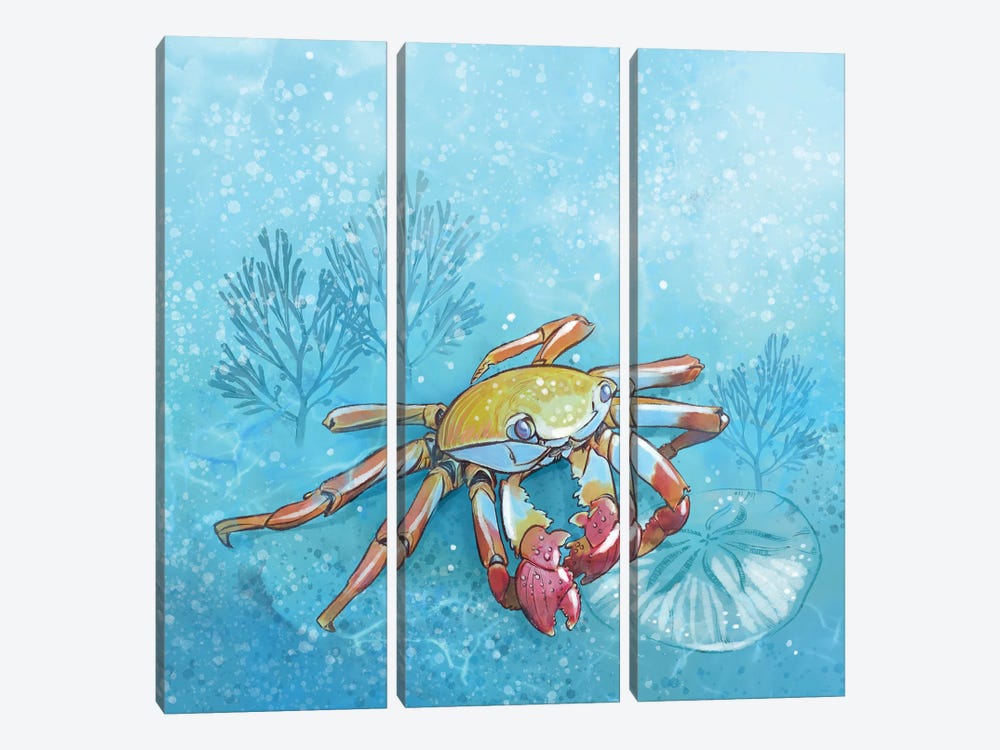 Coastal Crab by Thomas Little 3-piece Canvas Art