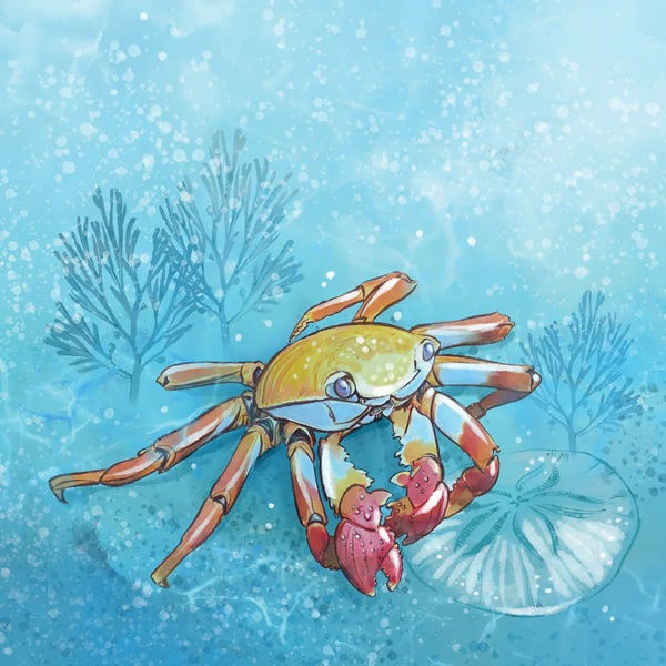 Crabs: Coastal Crab by Thomas Little