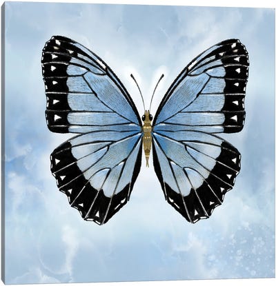 Shocking Blue Butterfly Canvas Art Print - Thomas Little