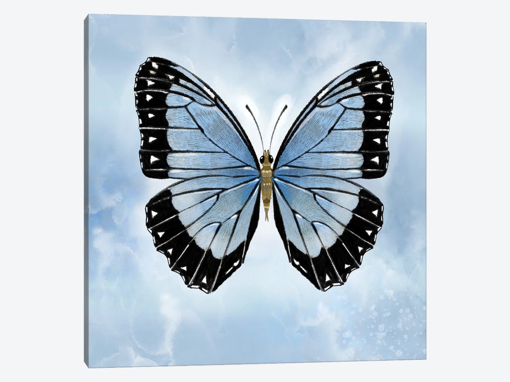 Shocking Blue Butterfly by Thomas Little 1-piece Canvas Art
