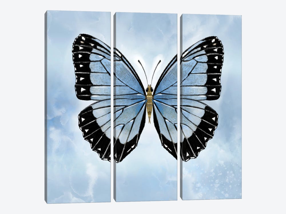 Shocking Blue Butterfly by Thomas Little 3-piece Canvas Art