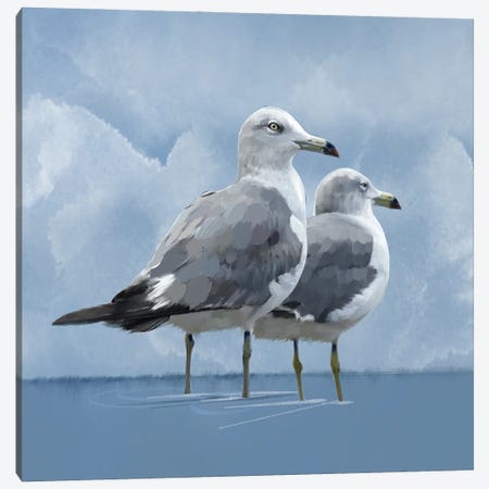 Coastal Gulls Canvas Print #TLT23} by Thomas Little Canvas Art Print