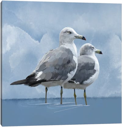 Coastal Gulls Canvas Art Print - Gull & Seagull Art