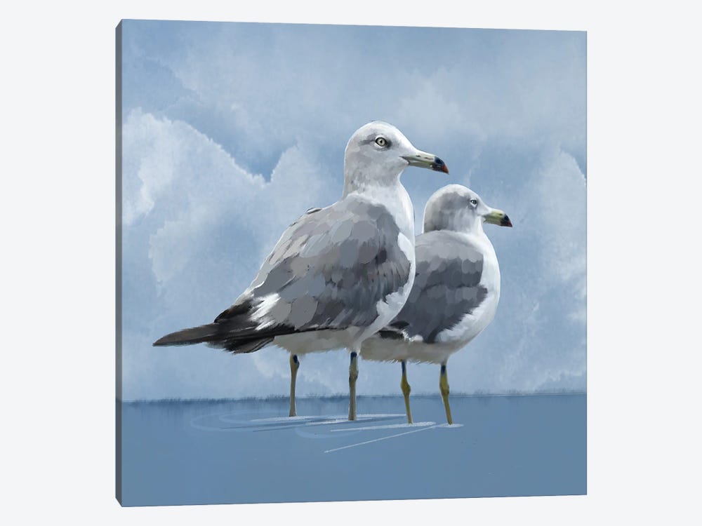 Coastal Gulls by Thomas Little 1-piece Canvas Artwork
