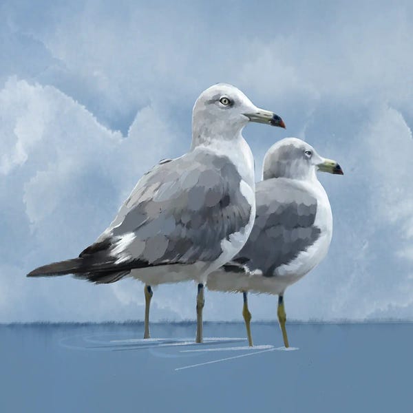 Nautical Living Room: Coastal Gulls by Thomas Little