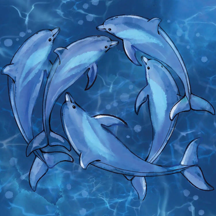 Spinner Dolphins At Play