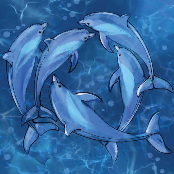 Thomas Little: Spinner Dolphins At Play by Thomas Little