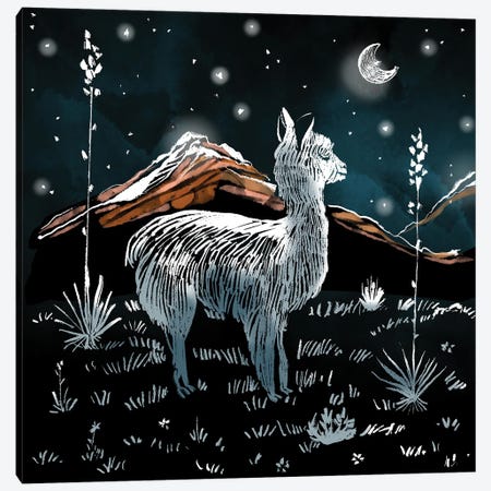 Little Llama Dreams Canvas Print #TLT243} by Thomas Little Art Print
