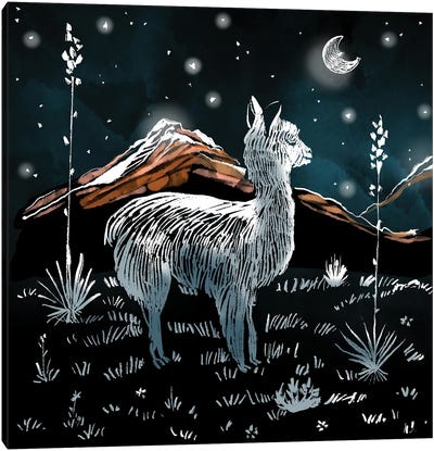 Little Llama Dreams Canvas Art Print - Thomas Little
