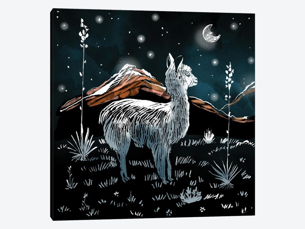 Little Llama Dreams by Thomas Little 1-piece Canvas Print