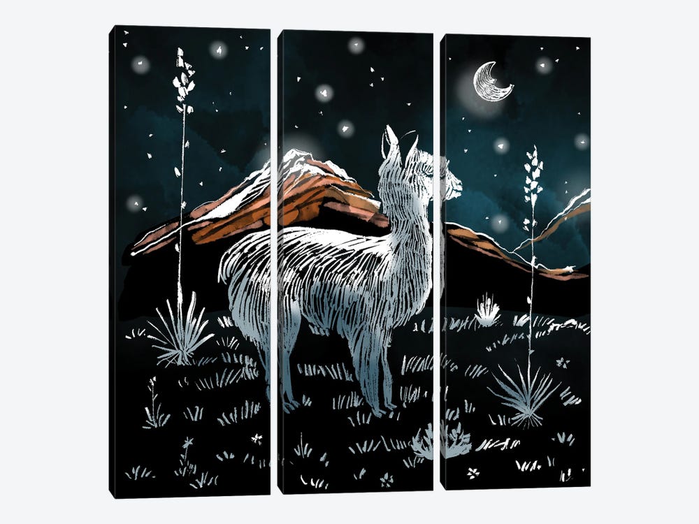 Little Llama Dreams by Thomas Little 3-piece Canvas Print