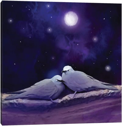Night Terns Canvas Art Print