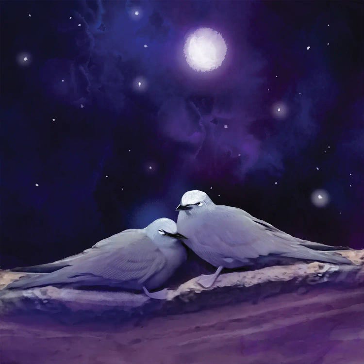 Night Terns by Thomas Little wall art