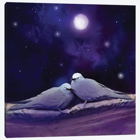 Night Terns Canvas Print #TLT244} by Thomas Little Canvas Artwork