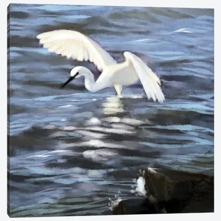 Egret Fishing Canvas Print #TLT248} by Thomas Little Canvas Art Print