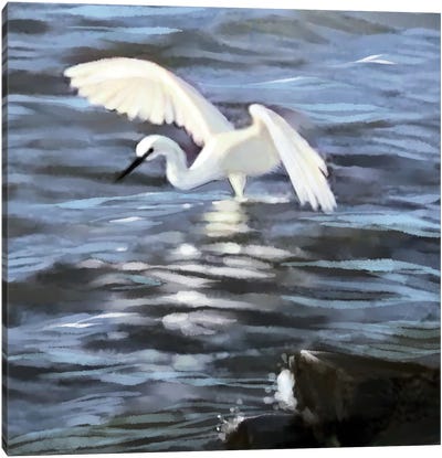 Egret Fishing Canvas Art Print - Thomas Little