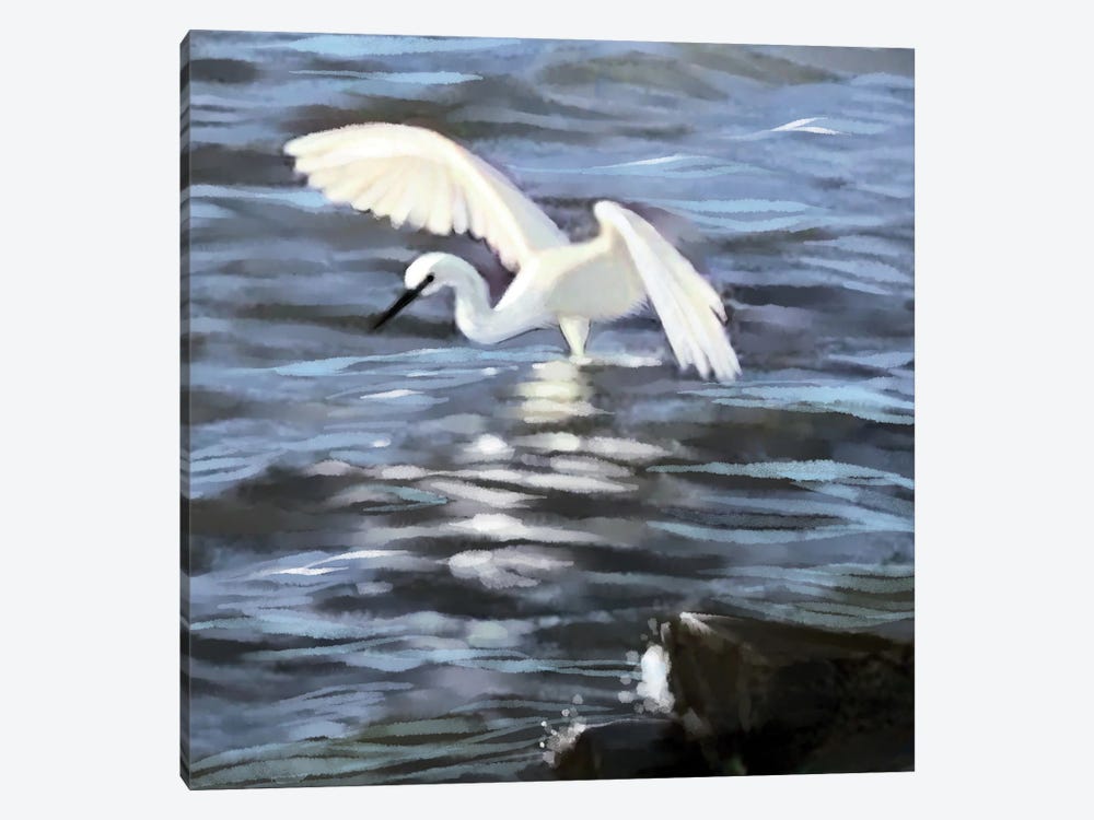 Egret Fishing by Thomas Little 1-piece Canvas Artwork