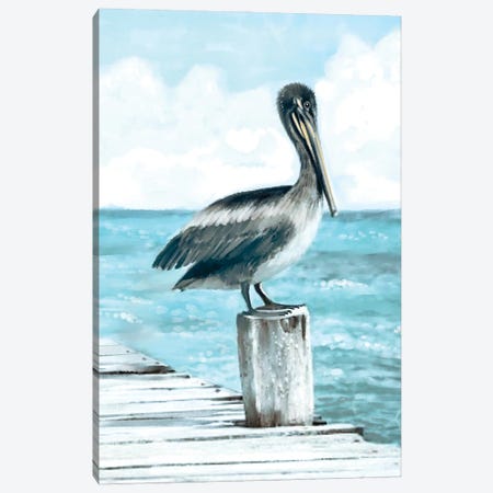 Coastal Pelican Canvas Print #TLT24} by Thomas Little Canvas Art