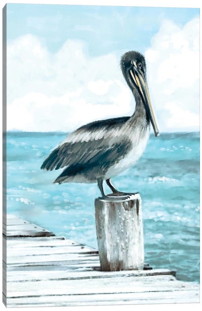Coastal Pelican Canvas Art Print - Thomas Little