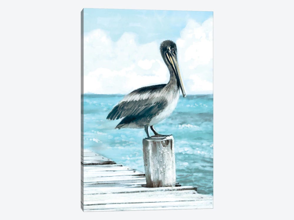 Coastal Pelican by Thomas Little 1-piece Canvas Art Print