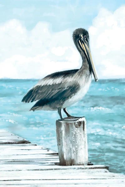 Beach Lover: Coastal Pelican by Thomas Little