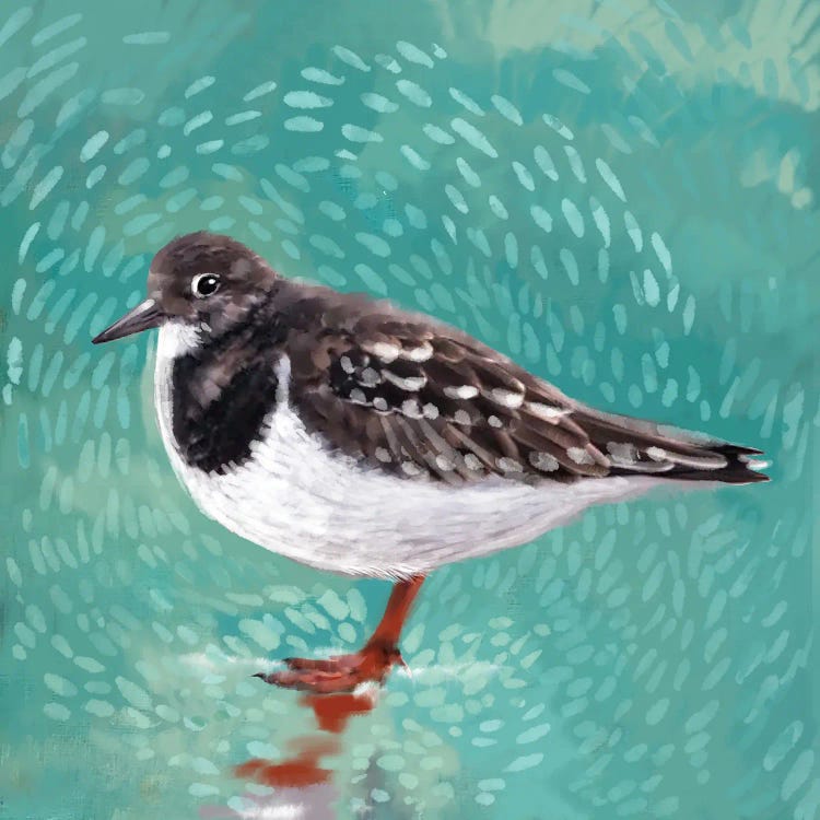 Sandpiper Dream by Thomas Little wall art