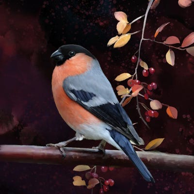 Finch And Fall Leaves by Thomas Little metal wall art