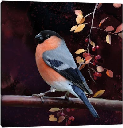 Finch And Fall Leaves Canvas Art Print - Finch Art