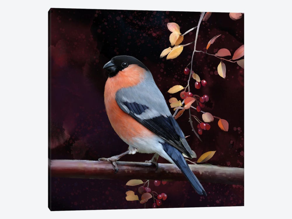 Finch And Fall Leaves by Thomas Little 1-piece Canvas Art Print