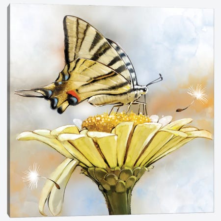 Swallowtail And Windy Day Canvas Print #TLT258} by Thomas Little Canvas Artwork