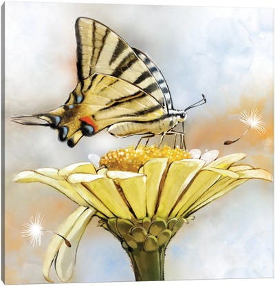 Swallowtail And Windy Day Canvas Art Print - Thomas Little