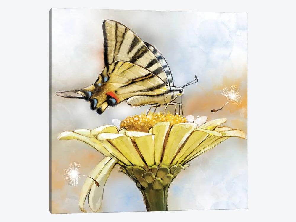 Swallowtail And Windy Day by Thomas Little 1-piece Canvas Art Print