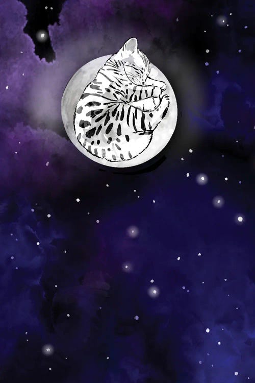 Kitty In The Moon by Thomas Little wall art