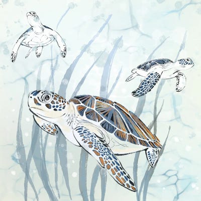 Seagrass Sea Turtles by Thomas Little framed canvas print